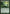 Explosive Vegetation [Planechase] - Magic: The Gathering - Card Brawlers | Quebec | Canada |