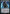 Jace Beleren [Duel Decks: Jace vs. Chandra] - Magic: The Gathering - Card Brawlers | Quebec | Canada |