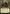 Ghired, Conclave Exile (Oversized) [Commander 2019 Oversized] - Magic: The Gathering - Card Brawlers | Quebec | Canada |
