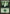 Forest (165) [Planechase] - Magic: The Gathering - Card Brawlers | Quebec | Canada |