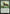 Tusked Colossodon [Khans of Tarkir] - Magic: The Gathering - Card Brawlers | Quebec | Canada |