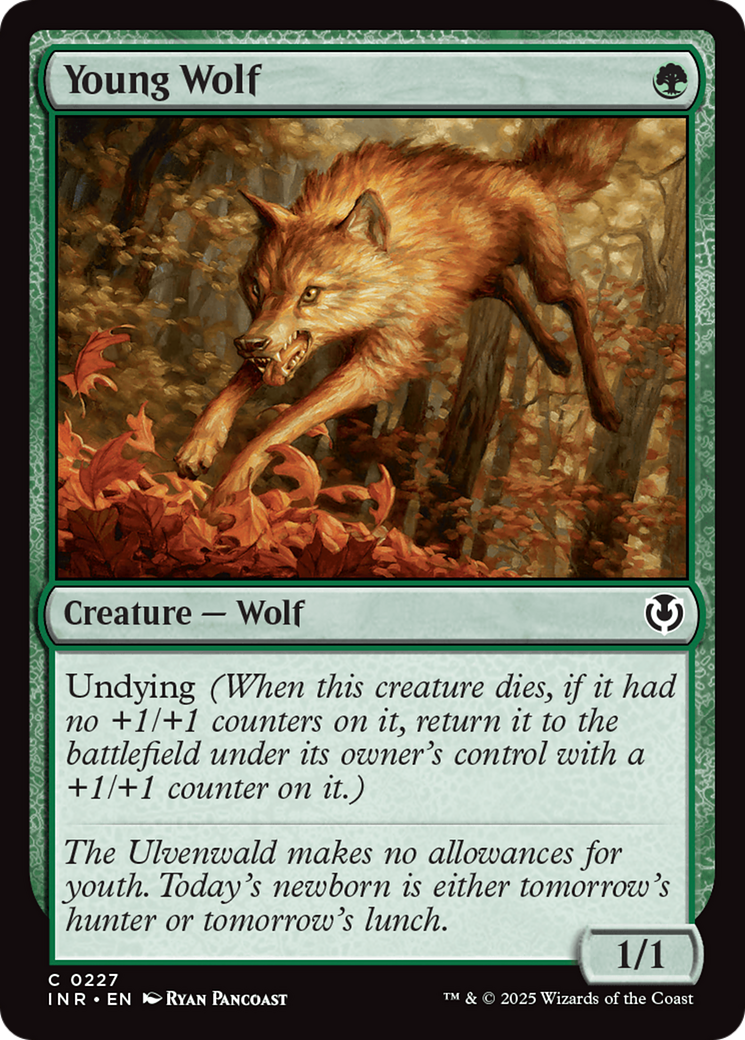 Young Wolf [Innistrad Remastered] - Magic: The Gathering - Card Brawlers | Quebec | Canada |