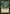 Wall of Tombstones [Legends] - Magic: The Gathering - Card Brawlers | Quebec | Canada |