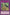 Do a Barrel Roll [MP14-EN049] Rare - Yu-Gi-Oh! - Card Brawlers | Quebec | Canada |
