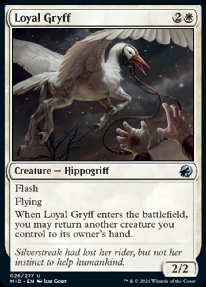 Loyal Gryff [Innistrad: Midnight Hunt] - Magic: The Gathering - Card Brawlers | Quebec | Canada |