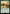 Farseek (Surge Foil) [Fallout] - Magic: The Gathering - Card Brawlers | Quebec | Canada |