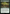 Overprotect [Bloomburrow] - Magic: The Gathering - Card Brawlers | Quebec | Canada |