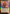 Pyromancer's Gauntlet (Retro) [Media Promos] - Magic: The Gathering - Card Brawlers | Quebec | Canada |