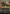 Contagion Engine (Textured Foil) [Outlaws of Thunder Junction: Breaking News] - Magic: The Gathering - Card Brawlers | Quebec | Canada |