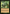 Perilous Forays (Retro) [Ravnica Remastered] - Magic: The Gathering - Card Brawlers | Quebec | Canada |