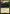 Jungle Shrine [FINAL FANTASY Commander] - Magic: The Gathering - Card Brawlers | Quebec | Canada |