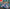 Pokemon TCG: Scarlet & Violet - Paldean Fates - Tech Sticker Collection (Greavard) - The Pokemon Company - Card Brawlers | Quebec | Canada |