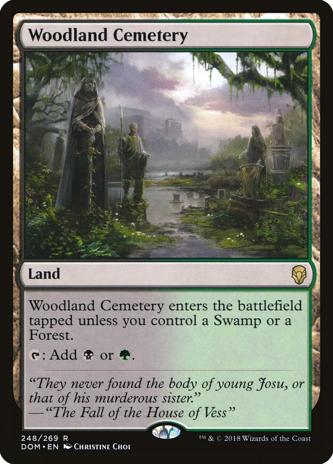 Woodland Cemetery [Dominaria] - Magic: The Gathering - Card Brawlers | Quebec | Canada |