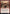 Hobgoblin Bandit Lord (Promo Pack) [Dungeons & Dragons: Adventures in the Forgotten Realms Promos] - Magic: The Gathering - Card Brawlers | Quebec | Canada |