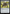 Patchwork Banner [Bloomburrow] - Magic: The Gathering - Card Brawlers | Quebec | Canada |