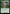 Sylvan Offering [The Lord of the Rings: Tales of Middle-Earth Commander] - Magic: The Gathering - Card Brawlers | Quebec | Canada |