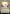 Gandalf the White (Showcase) (Surge Foil) [The Lord of the Rings: Tales of Middle-Earth] - Magic: The Gathering - Card Brawlers | Quebec | Canada |