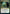 Rushed Rebirth [Strixhaven: School of Mages Prerelease Promos] - Magic: The Gathering - Card Brawlers | Quebec | Canada |