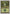 Forest (179) [Portal Three Kingdoms] - Magic: The Gathering - Card Brawlers | Quebec | Canada |
