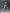 Threezero - Evangelion: New Theatrical Edition - ROBO-DOU - Type-08α - (PREORDER) December 15, 2026