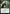 Izoni, Thousand-Eyed [Guilds of Ravnica Prerelease Promos] - Magic: The Gathering - Card Brawlers | Quebec | Canada |