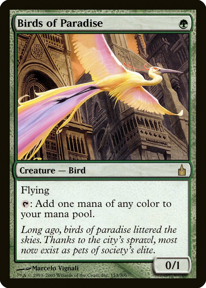 Birds of Paradise [Ravnica: City of Guilds] - Magic: The Gathering - Card Brawlers | Quebec | Canada |