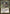 Scarwood Goblins [The Dark] - Magic: The Gathering - Card Brawlers | Quebec | Canada |