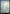 Forest (266) (Full-Art) [Phyrexia: All Will Be One] - Magic: The Gathering - Card Brawlers | Quebec | Canada |