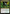 Journey to Eternity / Atzal, Cave of Eternity [Secret Lair: From Cute to Brute] - Magic: The Gathering - Card Brawlers | Quebec | Canada |
