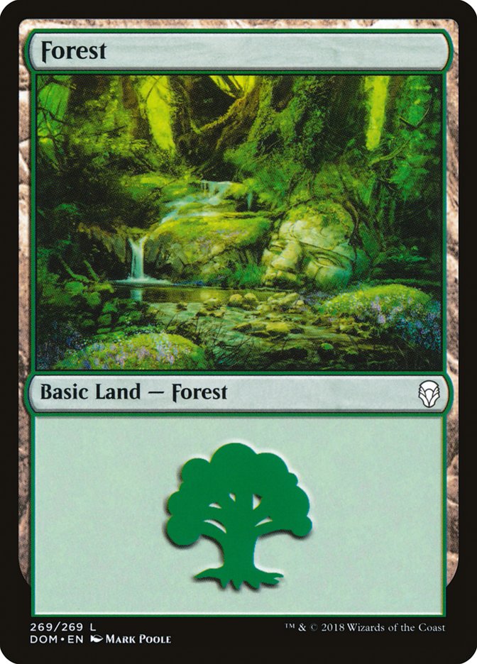 Forest (269) [Dominaria] - Magic: The Gathering - Card Brawlers | Quebec | Canada |