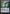Misty Rainforest (Expeditions) [Zendikar Rising Expeditions] - Magic: The Gathering - Card Brawlers | Quebec | Canada |
