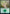 Forest (Elves) (579) [Secret Lair Drop Promos] - Magic: The Gathering - Card Brawlers | Quebec | Canada |