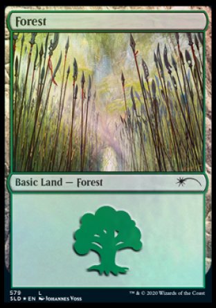 Forest (Elves) (579) [Secret Lair Drop Promos] - Magic: The Gathering - Card Brawlers | Quebec | Canada |