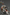 Joytoy - Warhammer 40k - White Scars Legion - Vigilator with Nemesis rifle and Bolt Pistol - (PREORDER) October 30, 2026