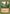 Birds of Paradise (Jan Tomcani) [World Championship Decks 2001] - Magic: The Gathering - Card Brawlers | Quebec | Canada |