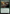 Balustrade Wurm [Duskmourn: House of Horror] - Magic: The Gathering - Card Brawlers | Quebec | Canada |