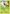 Weepinbell (2/111) [XY: Furious Fists] - Pokémon - Card Brawlers | Quebec | Canada |