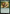 Bosco, Just a Bear [Avatar: The Last Airbender: Eternal-Legal] - Magic: The Gathering - Card Brawlers | Quebec | Canada |