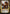 For Each of You, a Gift (Schemes) [Archenemy: Nicol Bolas Schemes] - Magic: The Gathering - Card Brawlers | Quebec | Canada |