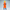 BANDAI - Dragon Ball - Son Goku - (A) - (PREORDER) March 19, 2027
