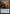 Peter Parker's Camera (Extended Art) [Marvel's Spider-Man] - Magic: The Gathering - Card Brawlers | Quebec | Canada |