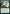 Exponential Growth (Promo Pack) [Strixhaven: School of Mages Promos] - Magic: The Gathering - Card Brawlers | Quebec | Canada |