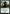 Avatar of the Resolute [Dragons of Tarkir Prerelease Promos] - Magic: The Gathering - Card Brawlers | Quebec | Canada |