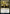 Exhilarating Elocution [Strixhaven: School of Mages] - Magic: The Gathering - Card Brawlers | Quebec | Canada |