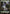 Forest (271) (Full Art) [Battle for Zendikar] - Magic: The Gathering - Card Brawlers | Quebec | Canada |