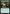 Emperor's Vanguard [Ixalan Prerelease Promos] - Magic: The Gathering - Card Brawlers | Quebec | Canada |