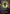 Mana Crypt (0017a) (Borderless) [The Lost Caverns of Ixalan Special Guests] - Magic: The Gathering - Card Brawlers | Quebec | Canada |