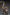 JOYTOY - Warhammer 40k - Ultramarines - Primarch Roboute Guilliman - (PREORDER) October 30, 2026