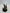 Warhammer 40k - Death Guard - Biologus Putrifier (USED) (2)
