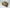 Used - Death Guard - Army Set